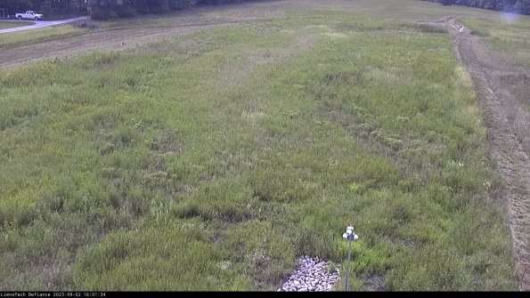 Cell 1_23-09-02_16-01-34-89