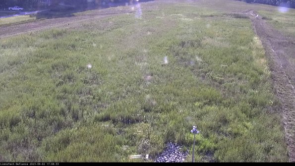 Cell 1_23-09-02_17-08-33-89