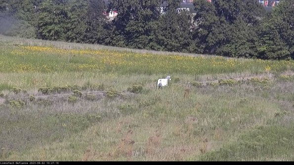 Cell 2 to 3_23-09-02_10-27-19-93