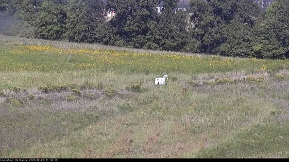 Cell 2 to 3_23-09-02_11-34-19-94