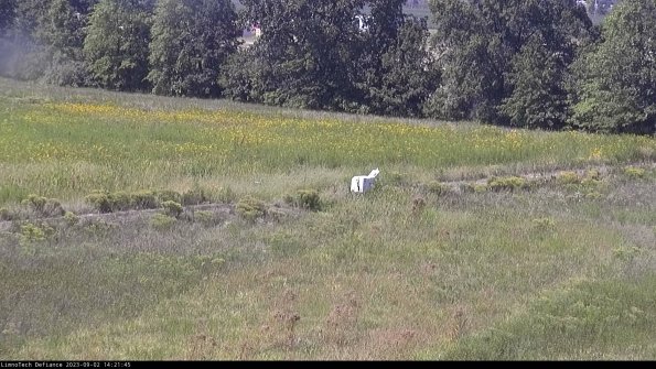 Cell 2 to 3_23-09-02_14-21-45-94