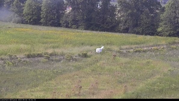 Cell 2 to 3_23-09-02_16-02-15-03