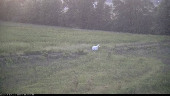 Cell 2 to 3_23-09-02_20-30-09-91