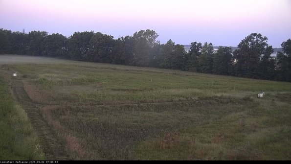 Cell 2_23-09-02_07-06-09-94