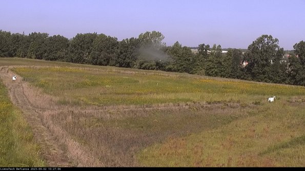 Cell 2_23-09-02_10-27-06-92