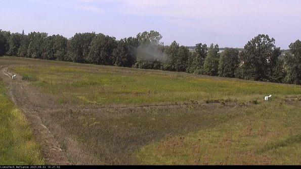 Cell 2_23-09-02_14-21-32-89