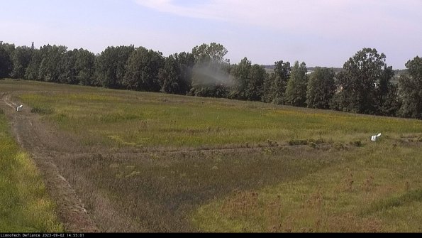 Cell 2_23-09-02_14-55-01-91