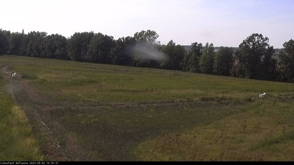 Cell 2_23-09-02_16-35-31-90