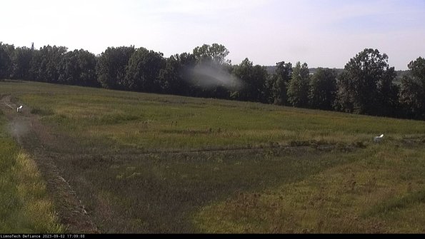 Cell 2_23-09-02_17-09-00-95