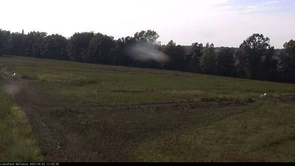 Cell 2_23-09-02_17-42-30-90