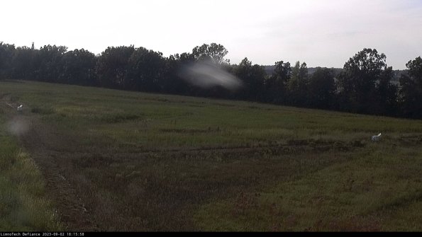 Cell 2_23-09-02_18-15-58-89