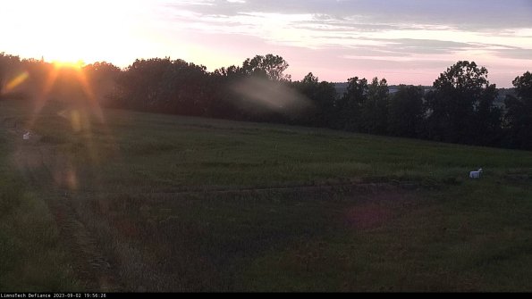 Cell 2_23-09-02_19-56-26-95