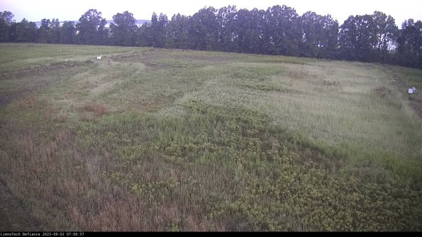 Cell 3_23-09-02_07-06-37-87