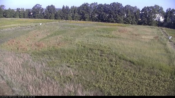 Cell 3_23-09-02_09-20-35-07