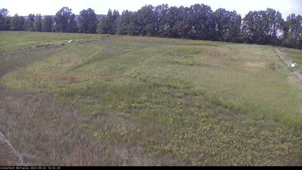 Cell 3_23-09-02_16-02-29-88