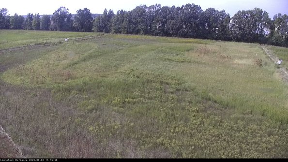 Cell 3_23-09-02_16-35-59-16