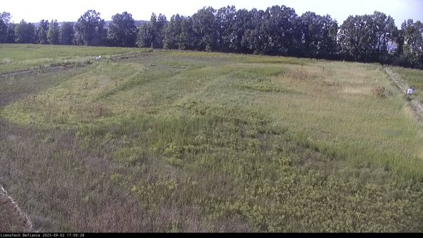 Cell 3_23-09-02_17-09-28-88