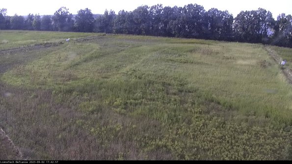 Cell 3_23-09-02_17-42-58-13