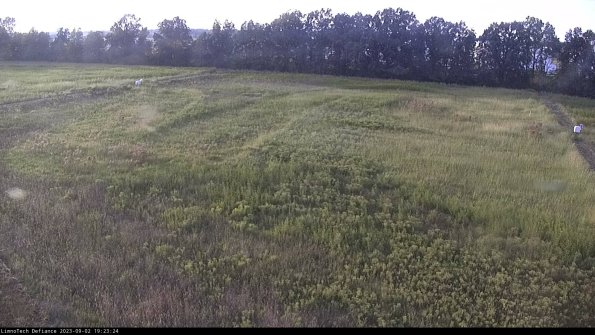 Cell 3_23-09-02_19-23-24-89