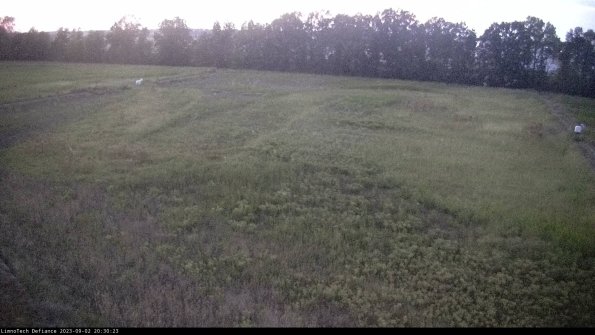 Cell 3_23-09-02_20-30-24-09