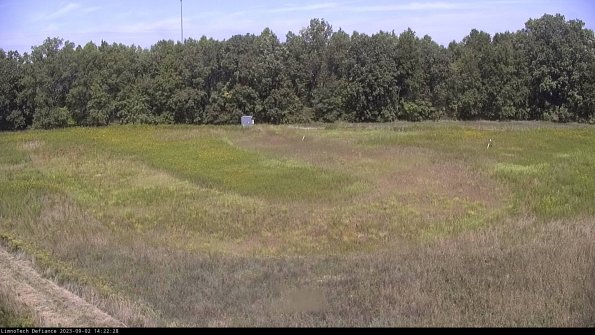 Cell 4_23-09-02_14-22-28-88