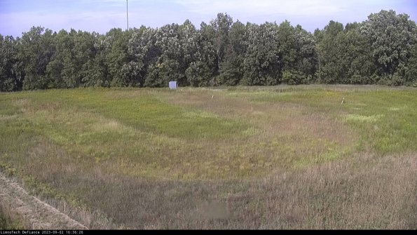 Cell 4_23-09-02_16-36-26-89