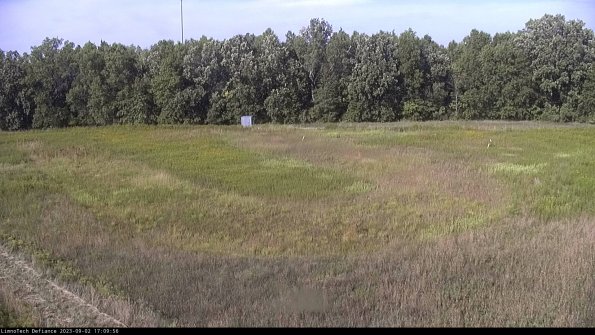 Cell 4_23-09-02_17-09-56-88