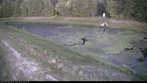 Basin_23-09-03_20-31-46-02