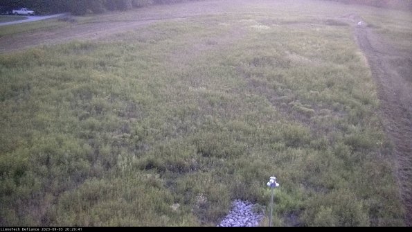 Cell 1_23-09-03_20-29-41-87