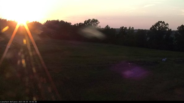 Cell 2_23-09-03_19-56-38-94