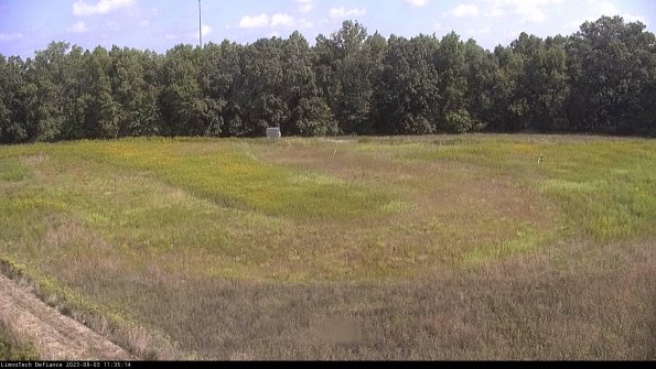 Cell 4_23-09-03_11-35-14-89