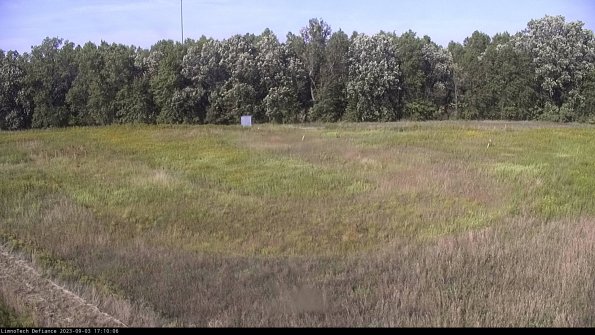 Cell 4_23-09-03_17-10-06-91