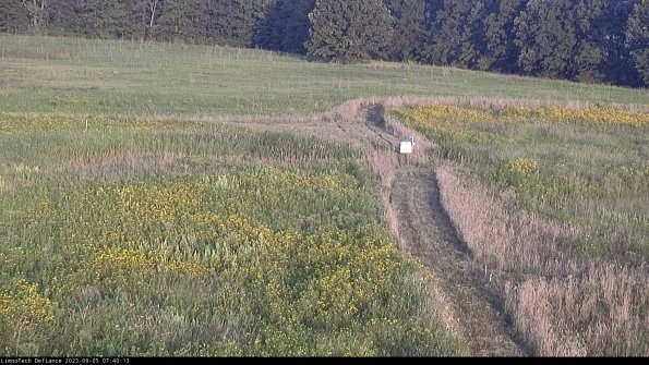 Cell 1 to 2_23-09-05_07-40-13-88