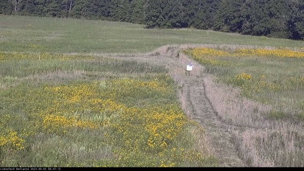 Cell 1 to 2_23-09-05_08-47-13-89