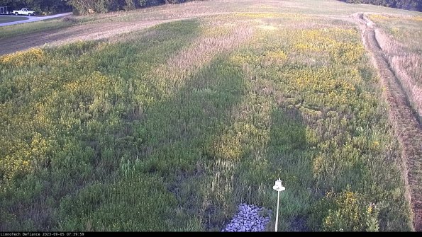 Cell 1_23-09-05_07-39-59-87