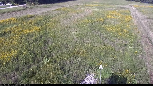 Cell 1_23-09-05_08-46-59-88