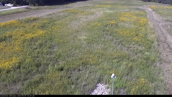 Cell 1_23-09-05_10-27-26-87