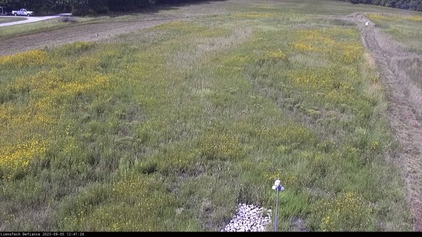 Cell 1_23-09-05_12-41-26-87