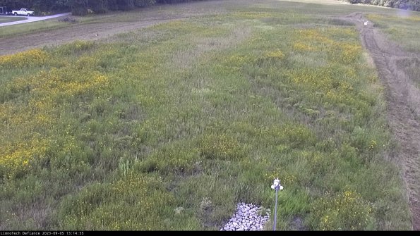 Cell 1_23-09-05_13-14-55-89