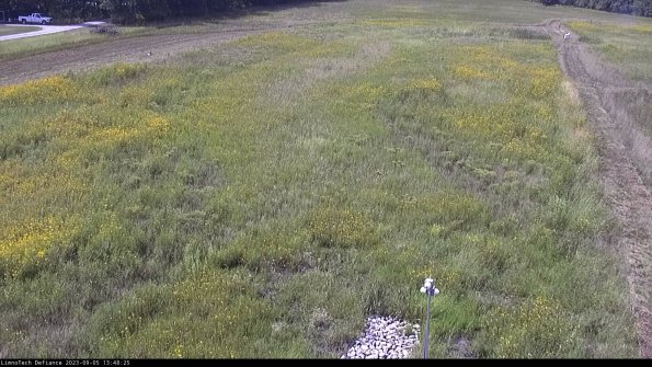 Cell 1_23-09-05_13-48-25-88