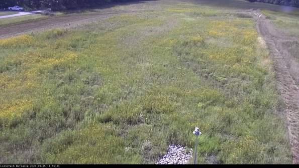 Cell 1_23-09-05_14-55-23-87