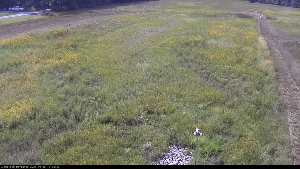 Cell 1_23-09-05_15-28-53-89