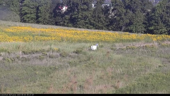 Cell 2 to 3_23-09-05_09-21-08-00