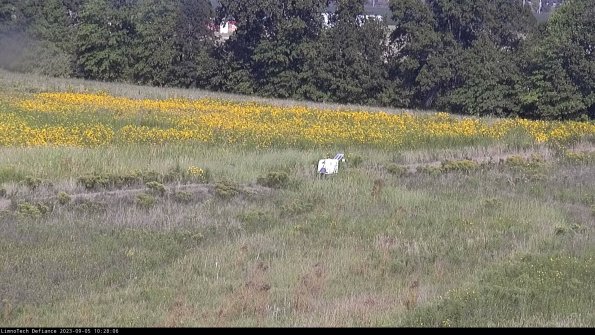 Cell 2 to 3_23-09-05_10-28-07-11