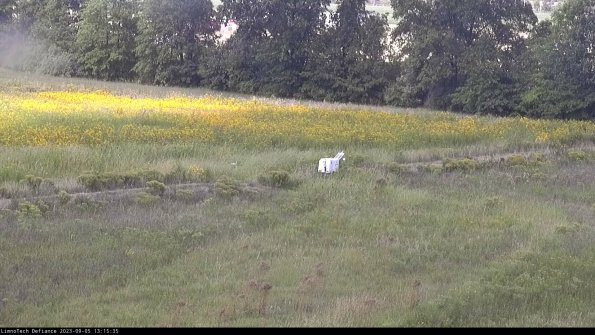 Cell 2 to 3_23-09-05_13-15-35-96