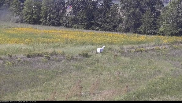 Cell 2 to 3_23-09-05_13-49-05-95