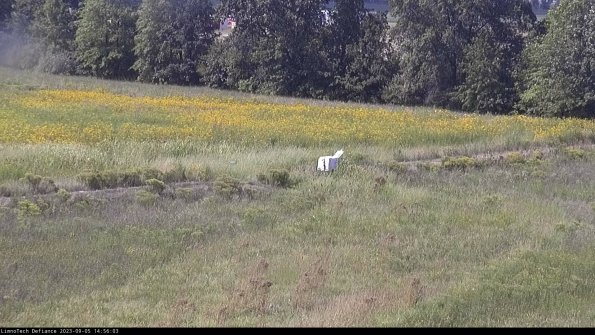 Cell 2 to 3_23-09-05_14-56-04-05