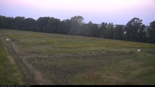 Cell 2_23-09-05_07-06-57-91