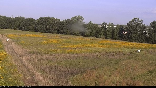 Cell 2_23-09-05_08-47-26-94