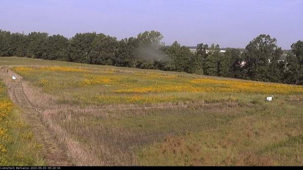 Cell 2_23-09-05_09-20-54-92